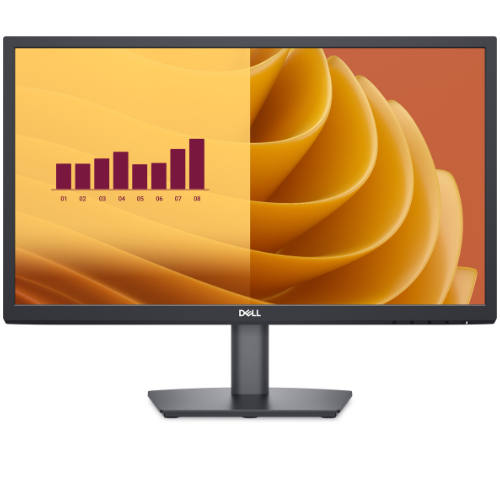 Dell 22-Inch Widescreen Monitor